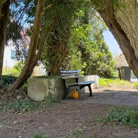 Apartment Obst- Und Lehle Immenstaad am Bodensee