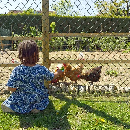 Apartment Obst- Und Lehle *