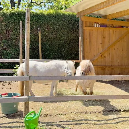 Apartment Obst- Und Lehle Immenstaad am Bodensee
