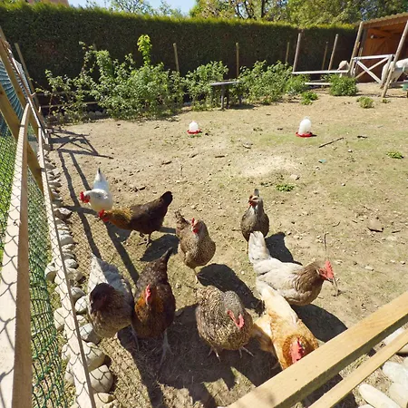 Obst- Und Lehle Apartment *